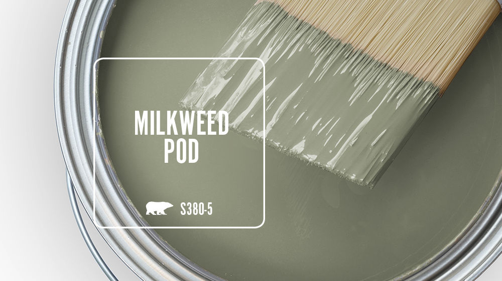 MILKWEED POD Color for Mobile