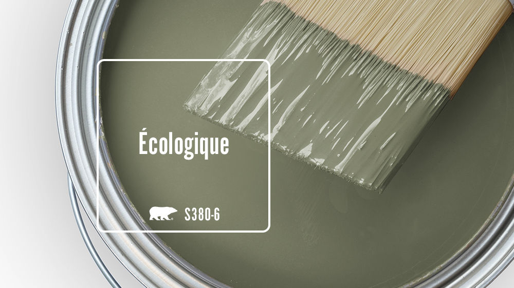 Écologique Color for Mobile
