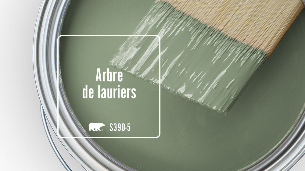 Arbre de lauriers Color for Mobile