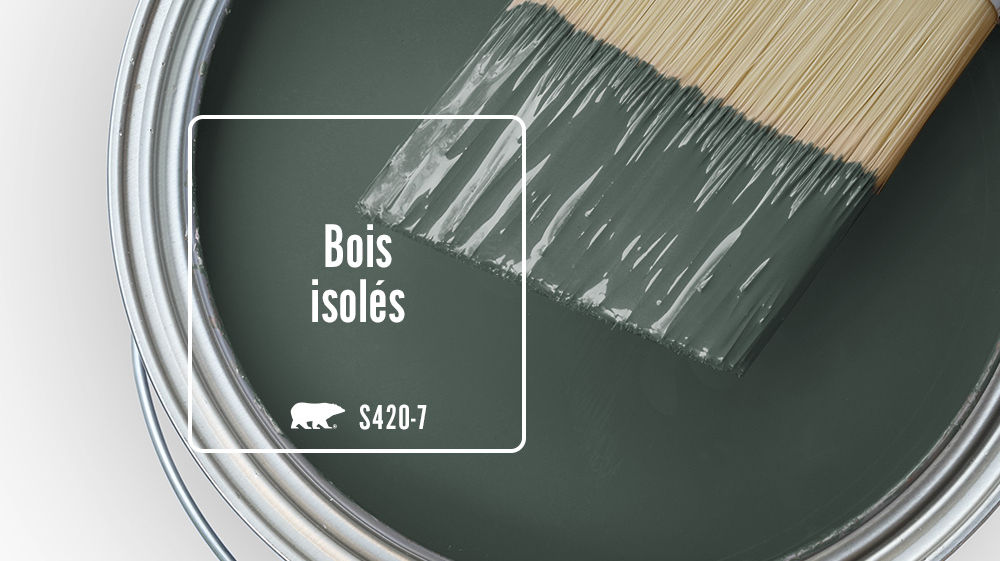 Bois isolés Color for Mobile