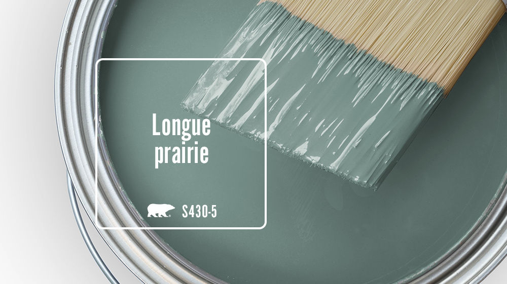 Longue prairie Color for Mobile