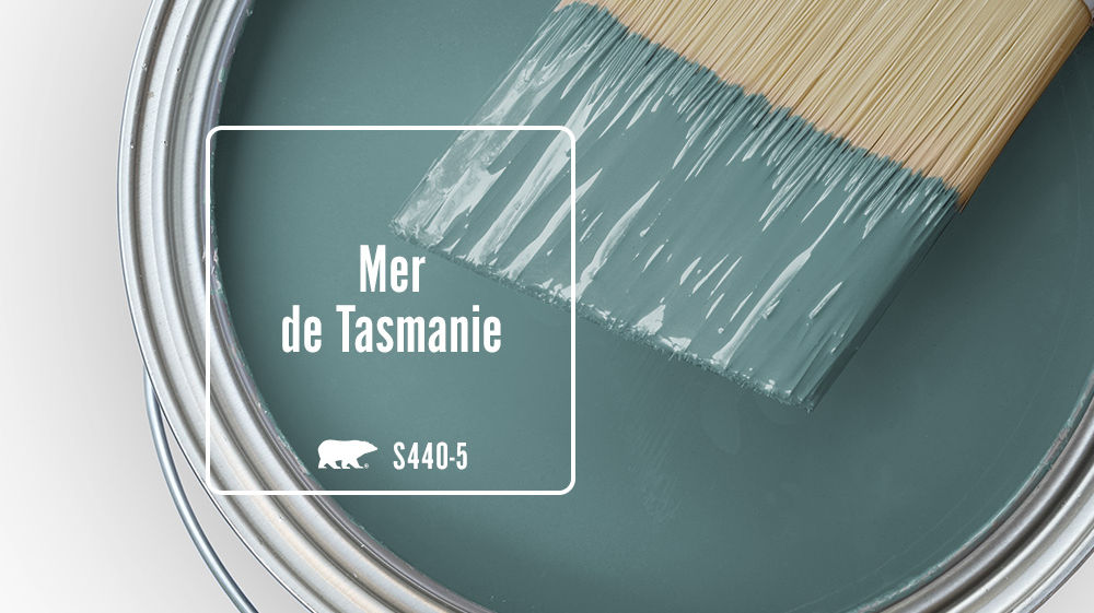 Mer de Tasmanie Color for Mobile