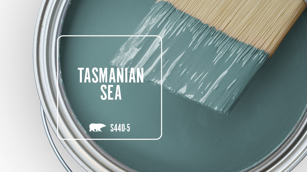 TASMANIAN SEA Color for Mobile