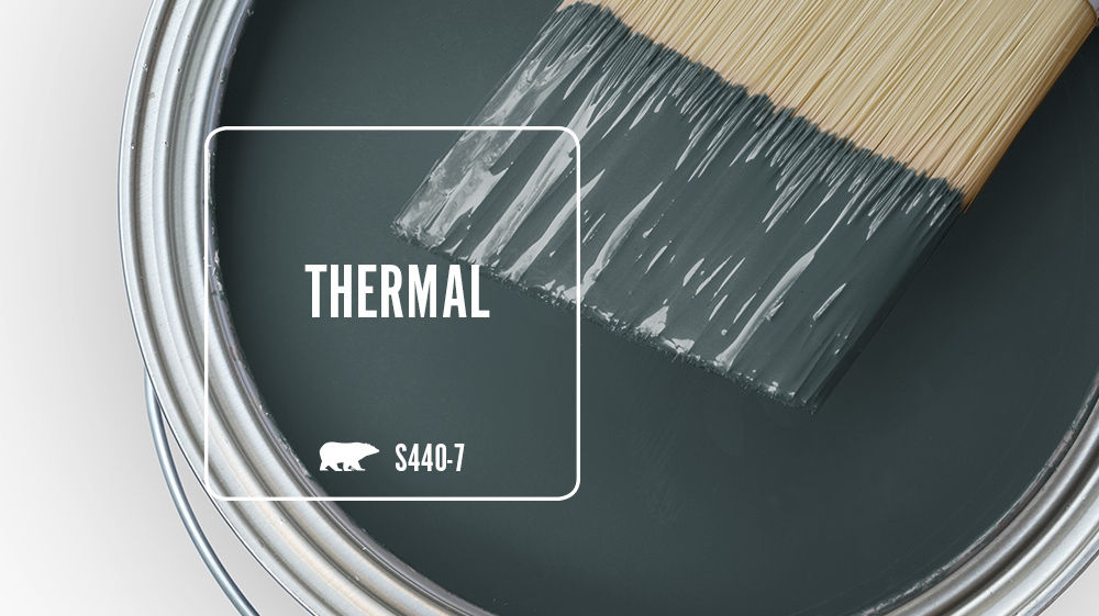 THERMAL Color for Mobile