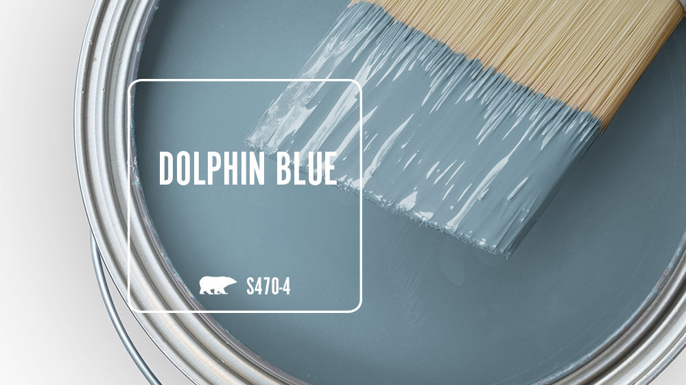 DOLPHIN BLUE Color for Mobile