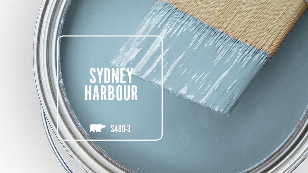 SYDNEY HARBOUR Color for Mobile