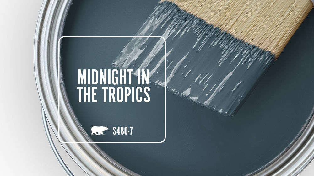 MIDNIGHT IN THE TROPICS Color for Mobile