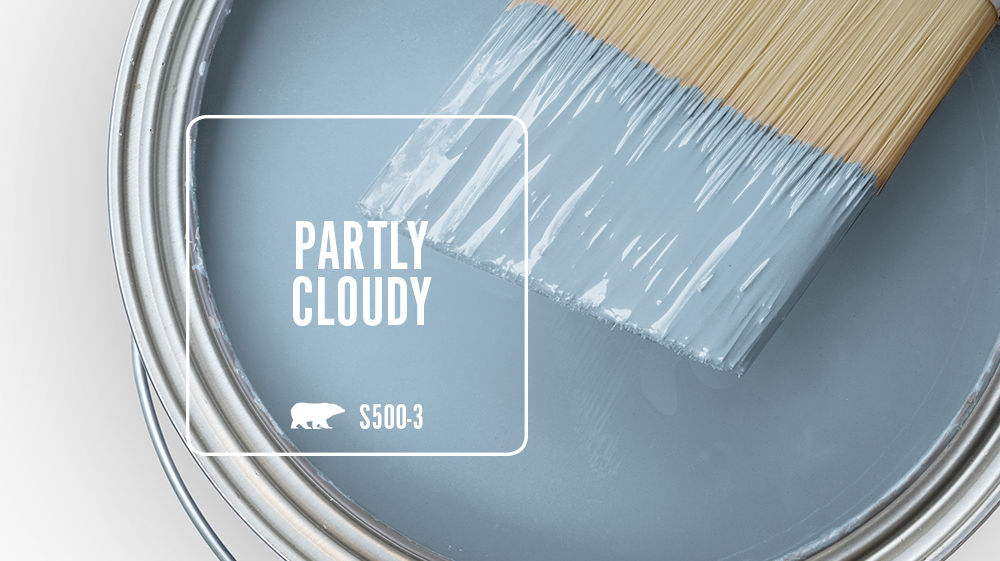 PARTLY CLOUDY Color for Mobile