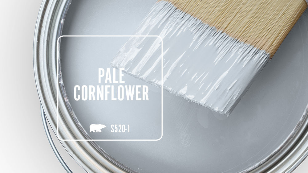 PALE CORNFLOWER Color for Mobile