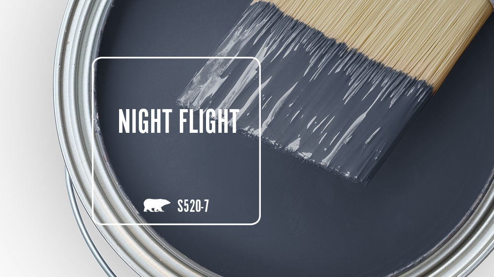 NIGHT FLIGHT Color for Mobile