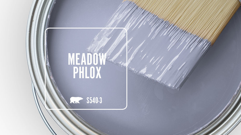 MEADOW PHLOX Color for Mobile