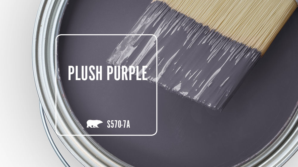 PLUSH PURPLE Color for Mobile