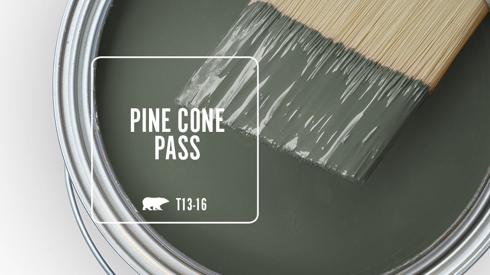 PINE CONE PASS Color for Mobile