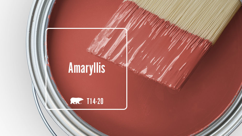 Amaryllis Color for Mobile