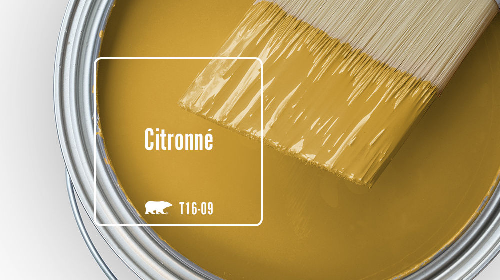 Citronne Color for Mobile