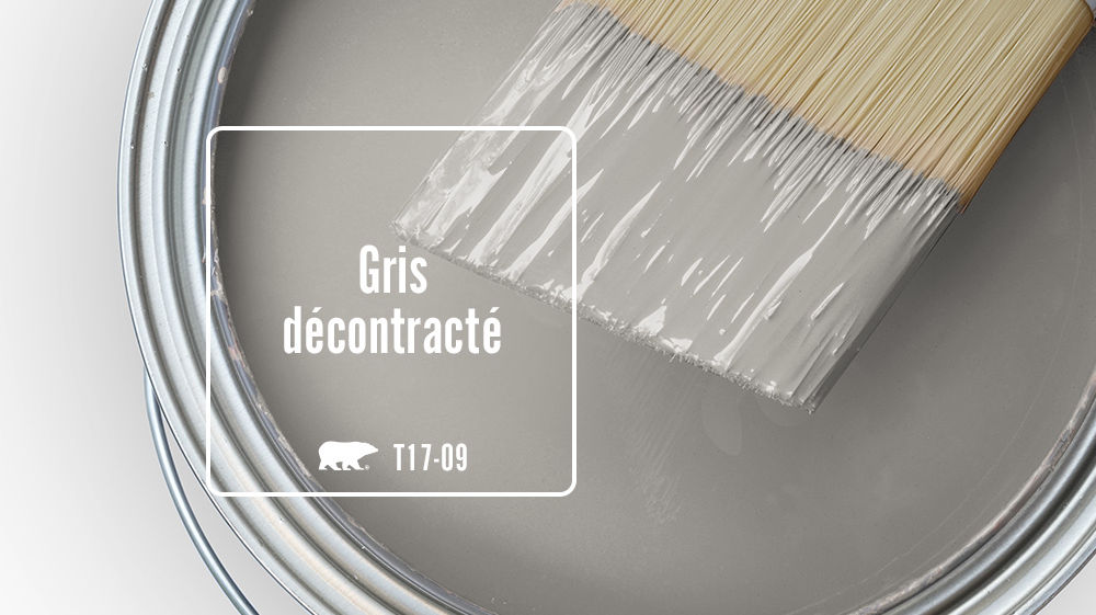 Gris décontracté Color for Mobile