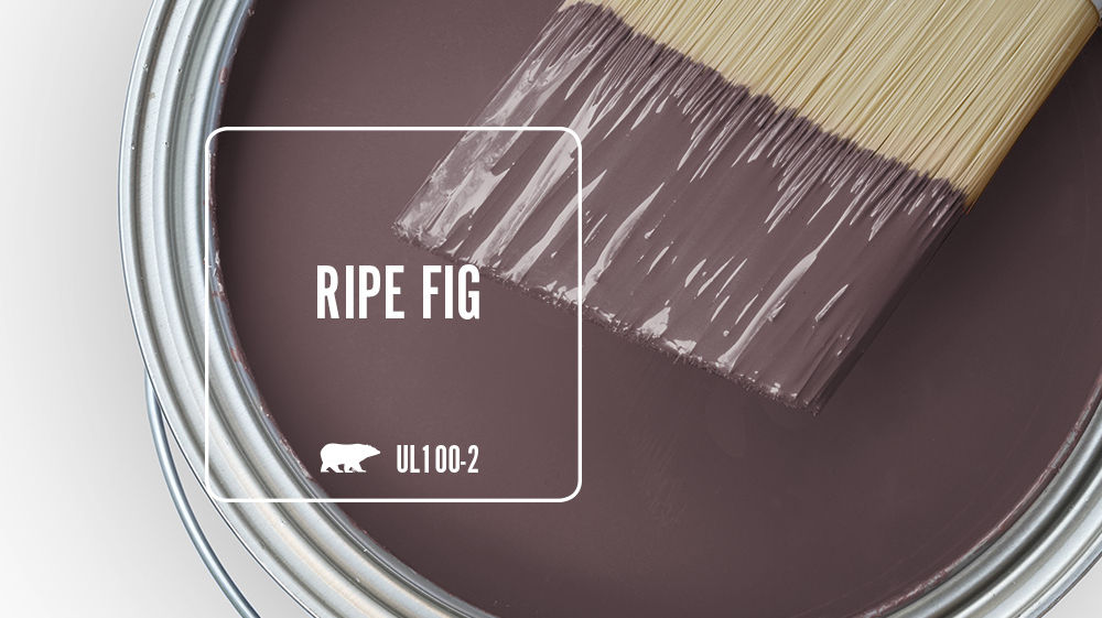 RIPE FIG Color