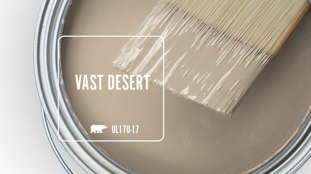 VAST DESERT Color