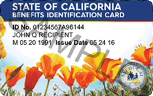 ID Card Sample Front