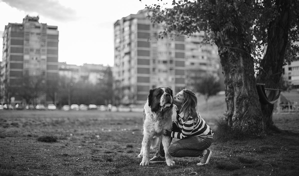 Lovely and cute woman spending her leisure time at the park with her Bernard dog.