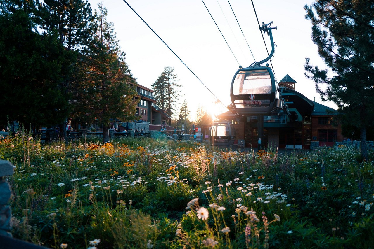 Destination for Vacation Homes Lake Tahoe