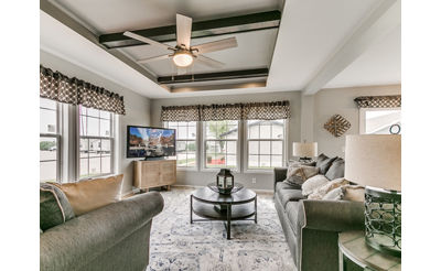 Our Homes and Decor Options