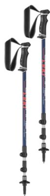 rossignol poker pro ski poles