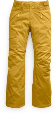 tnf freedom insulated pant