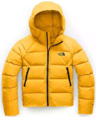 hyalite hoodie the north face