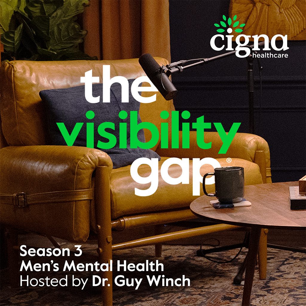 The Visibility Gap Season Three logo