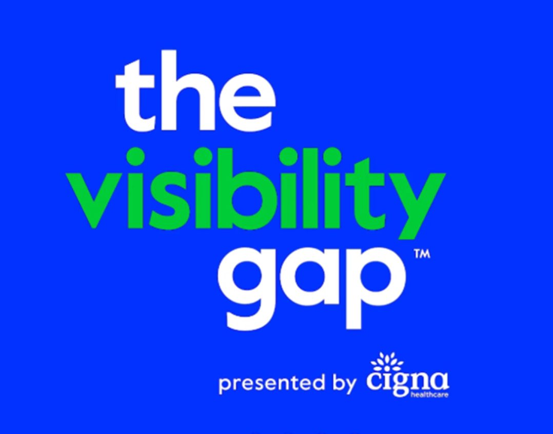 The Visibility Gap logo