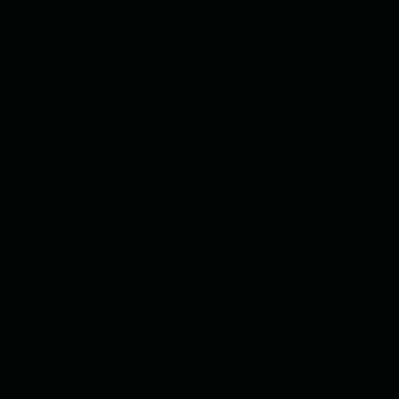 0049 Black