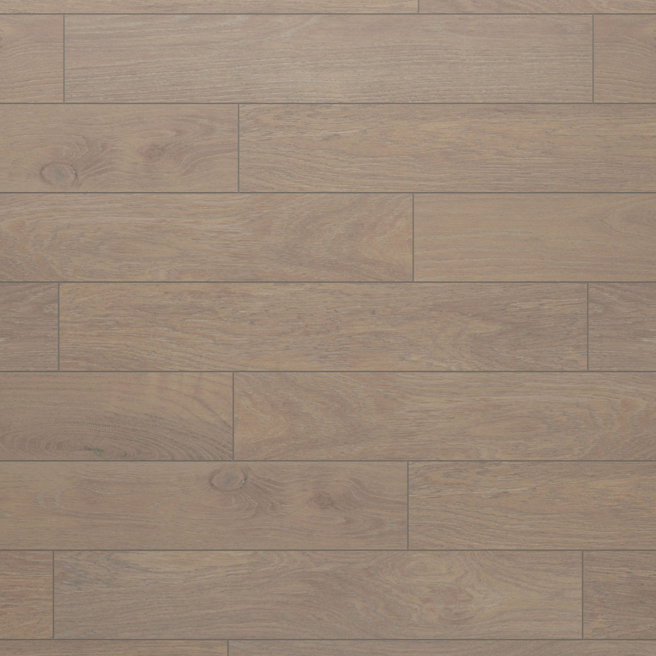 Parchment, Plank, 8X48, Matte
