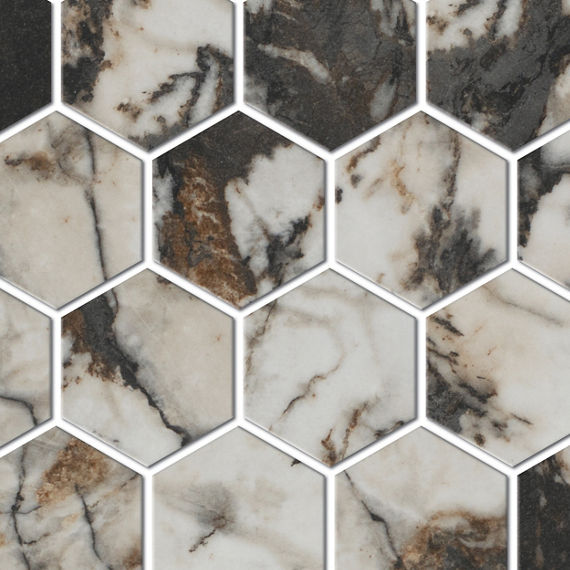 AO_FY03_3in_HexMsc_Contrast