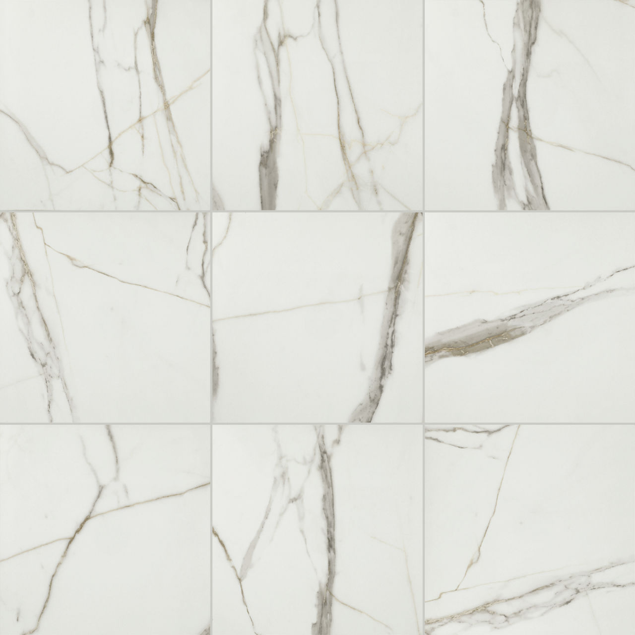 Calacatta Venecia, Square, 24X24, Matte