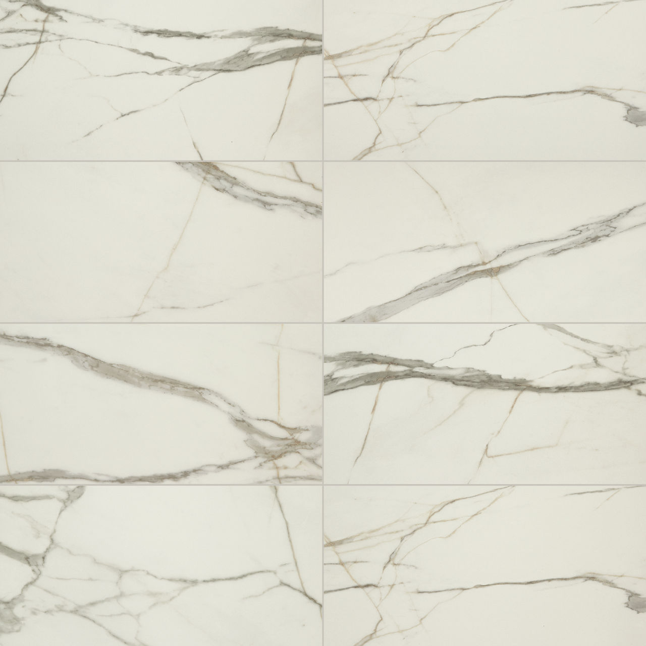 Calacatta Venecia, Rectangle, 12X24, Matte