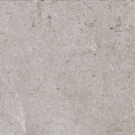 RC02 Gray