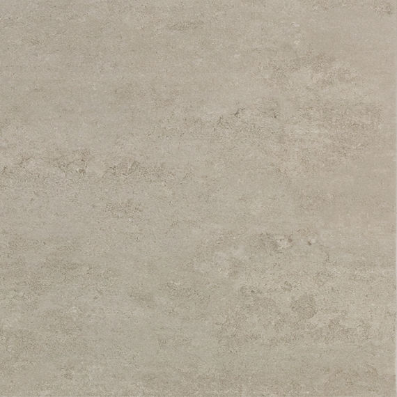 Reflective Taupe TE84