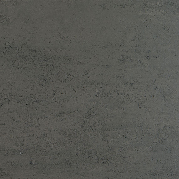 Imaginative Gray