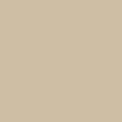 COL_ColorFamily_500x500_2502_taupe