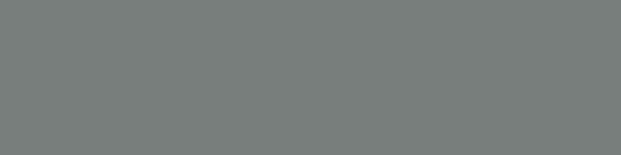 Suede Gray, Rectangle, 2X8, Glossy