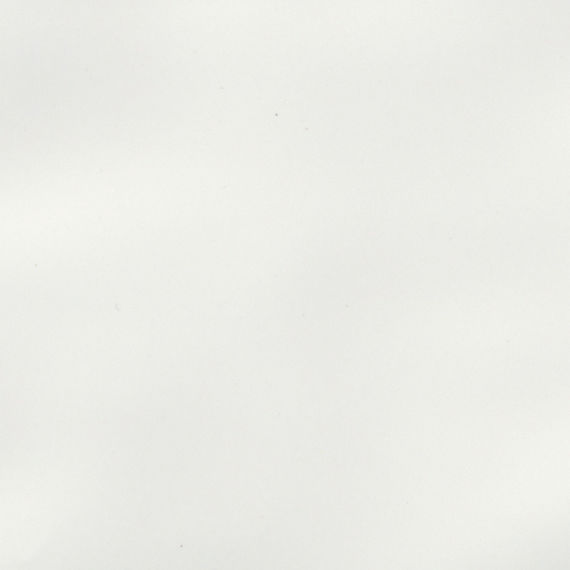 Arctic White 0190