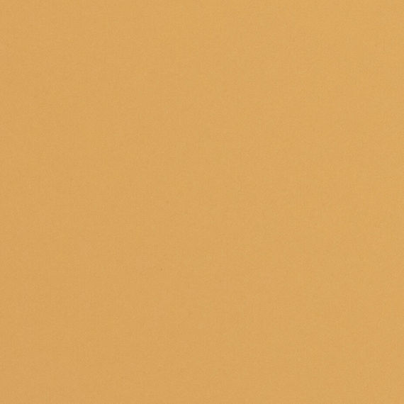 Matte Mustard 7012