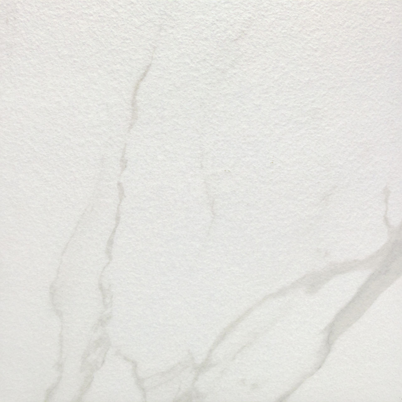 DAL_AT31_24x24_2CM_Paver_StudioCarrara_Silo_04