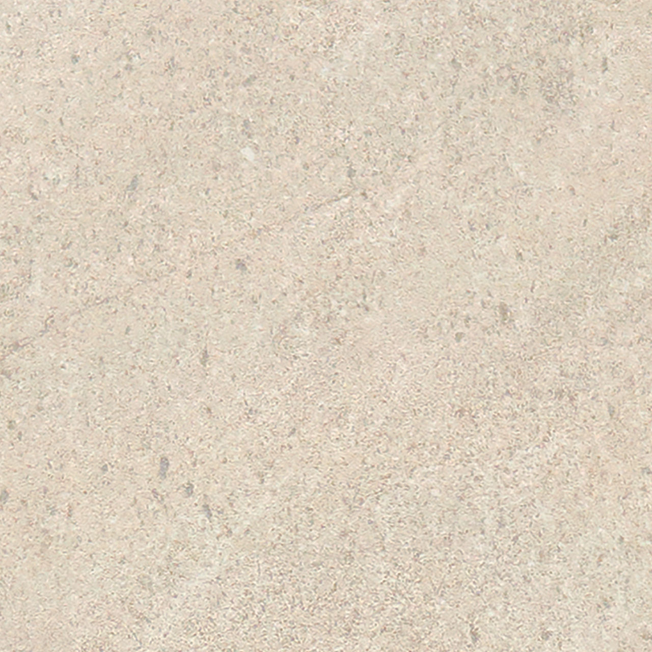 DAL_CG08_12x24_CalmBeige_MT_Detail