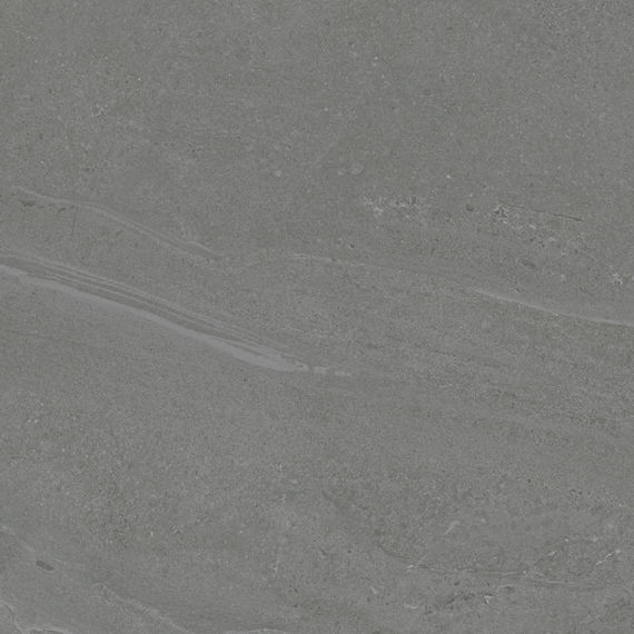 DAL_CG43_24x24_Armor_POL_Grid