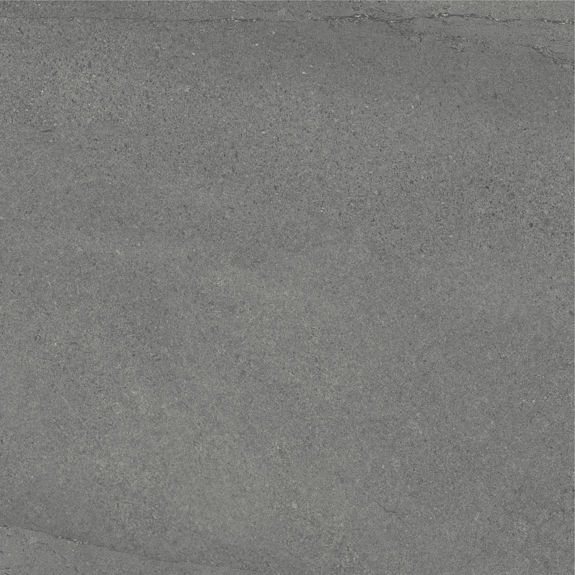 Armor 24X48 Polished Stone Look Tile | Calgary by Daltile