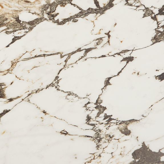 Calacatta Aries 24X48 Porcelain | Panoramic Duet by Daltile
