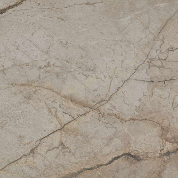 Elestial 24X48 Matte Marble Look | Panoramic Duet by Daltile