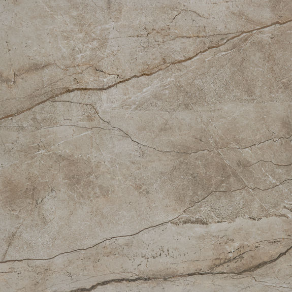 Elestial 48X48 Matte Marble Look | Panoramic Duet by Daltile